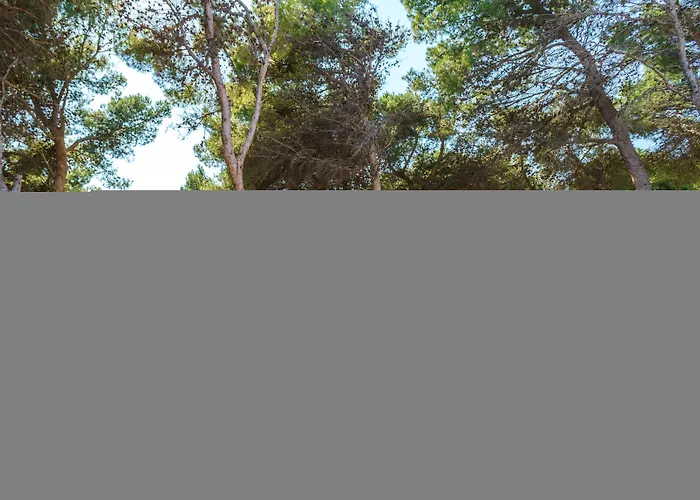 Playa Parc Apartments Son Parc